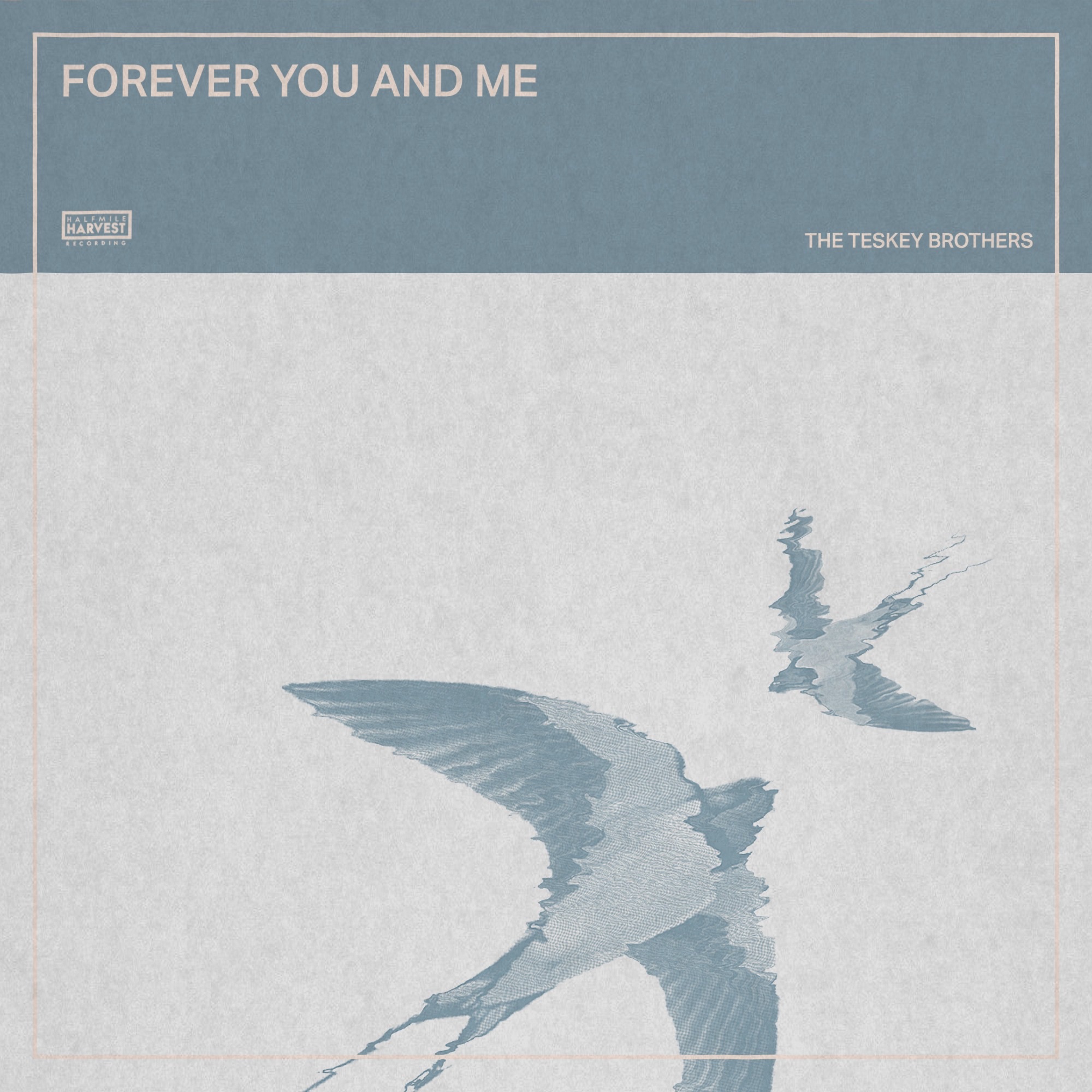 Artwork for Forever You And Me